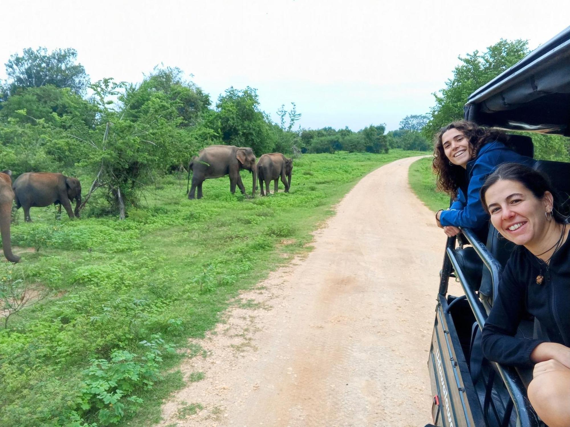 Elite Safari Resort Udawalawe Eksteriør billede